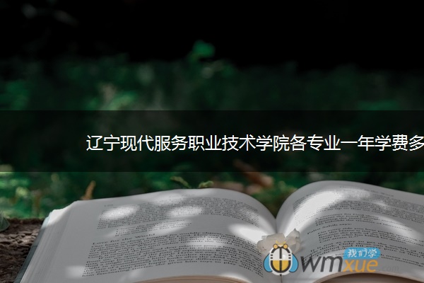 辽宁现代服务职业技术学院各专业一年学费多少钱