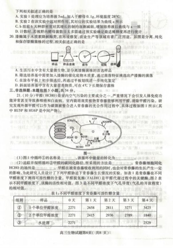 2020届山东省高三生物5月高考模拟试题