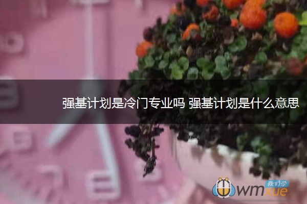 强基计划是冷门专业吗 强基计划是什么意思