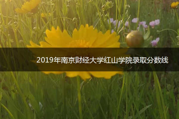 2019年南京财经大学红山学院录取分数线是多少