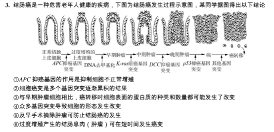 2020全国高考理科综合押题试卷