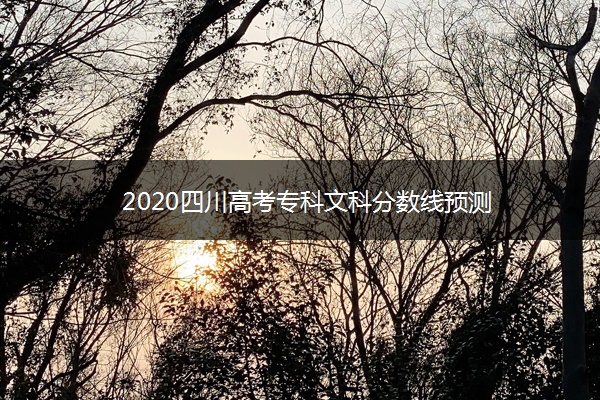 2020四川高考专科文科分数线预测