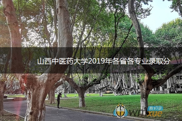 山西中医药大学2019年各省各专业录取分数线