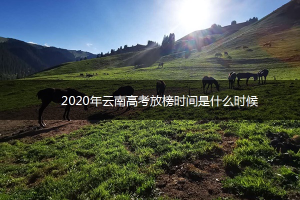 2020年云南高考放榜时间是什么时候