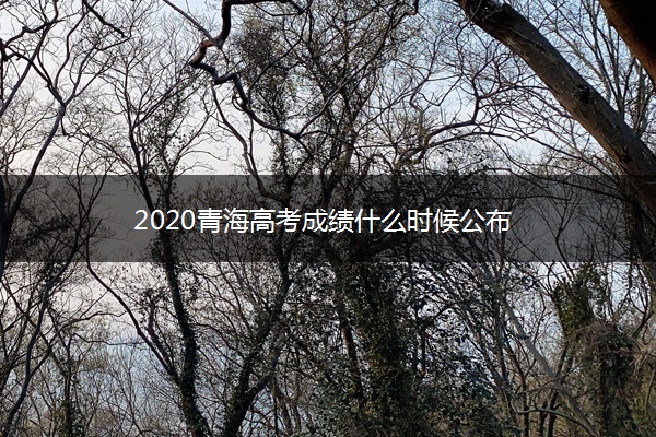 2020青海高考成绩什么时候公布