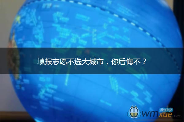 填报志愿不选大城市，你后悔不？