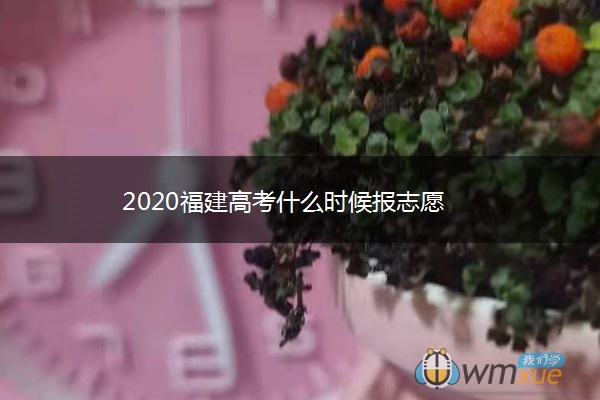 2020福建高考什么时候报志愿