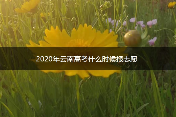 2020年云南高考什么时候报志愿