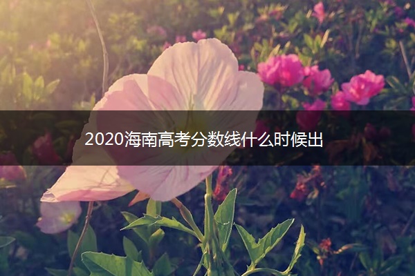 2020海南高考分数线什么时候出