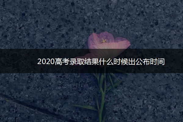 2020高考录取结果什么时候出公布时间