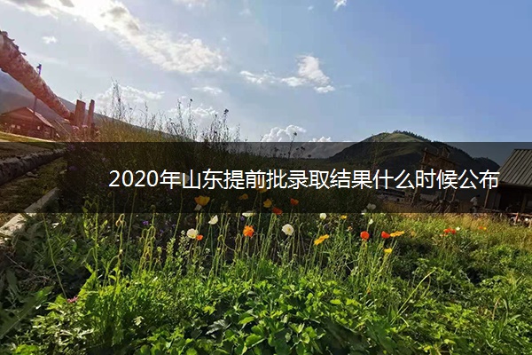 2020年山东提前批录取结果什么时候公布