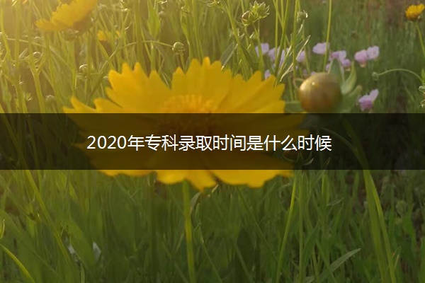 2020年专科录取时间是什么时候