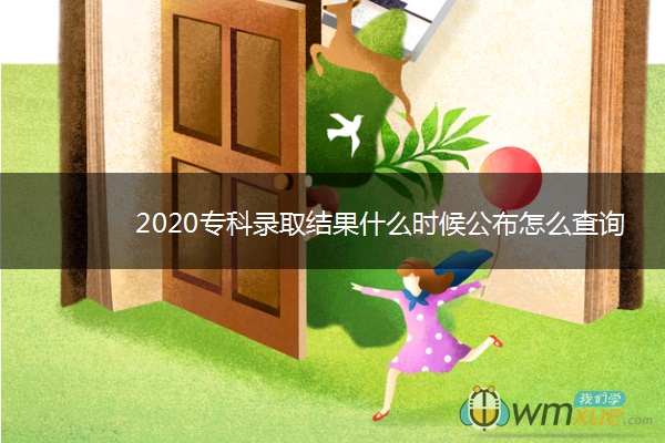 2020专科录取结果什么时候公布怎么查询