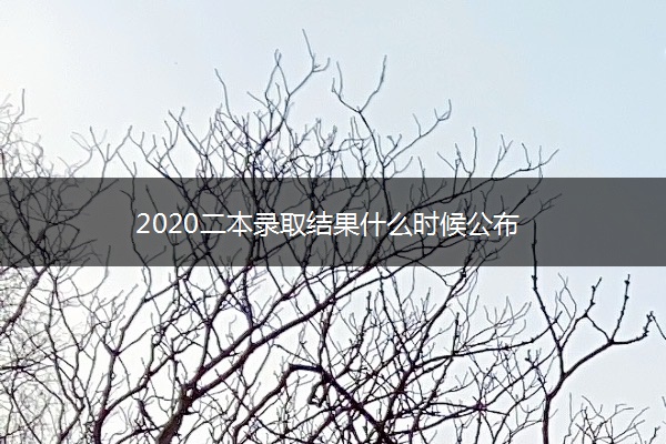 2020二本录取结果什么时候公布