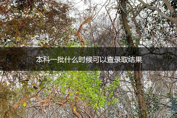 本科一批什么时候可以查录取结果