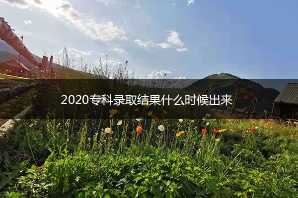 2020专科录取结果什么时候出来