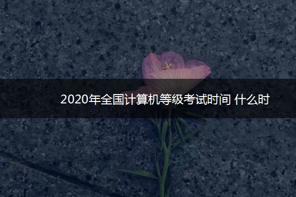 2020年全国计算机等级考试时间 什么时候考试