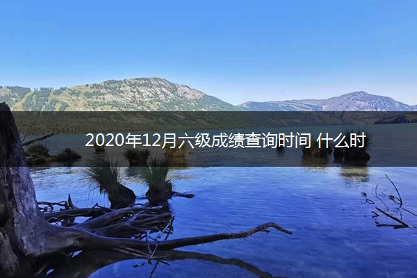 2020年12月六级成绩查询时间 什么时候查分