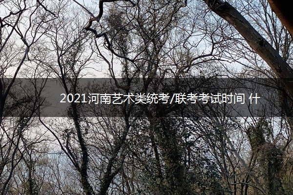 2021河南艺术类统考/联考考试时间 什么时候考试