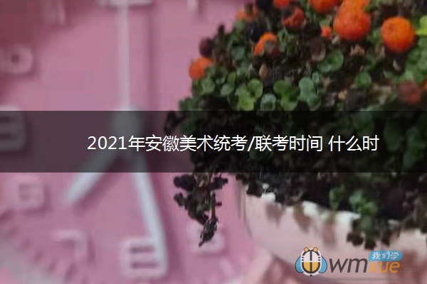 2021年安徽美术统考/联考时间 什么时候考试