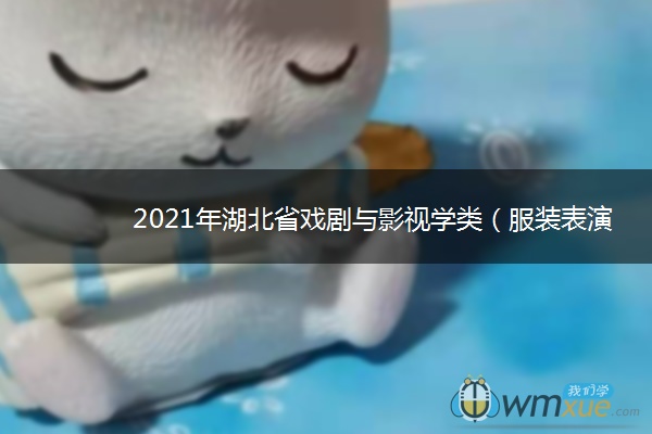 2021年湖北省戏剧与影视学类（服装表演专业）统考考试时间 什么时候考试