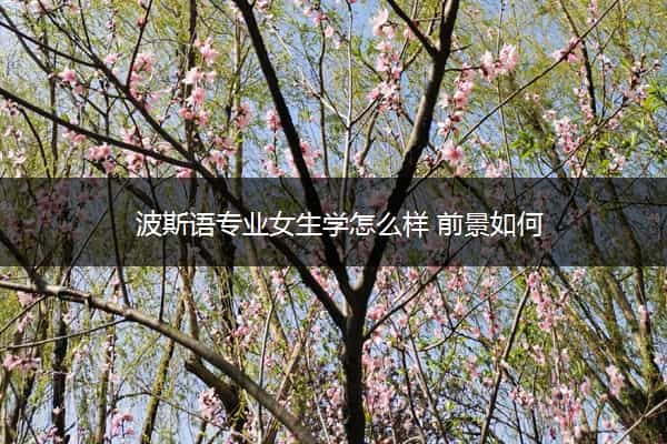 波斯语专业女生学怎么样 前景如何