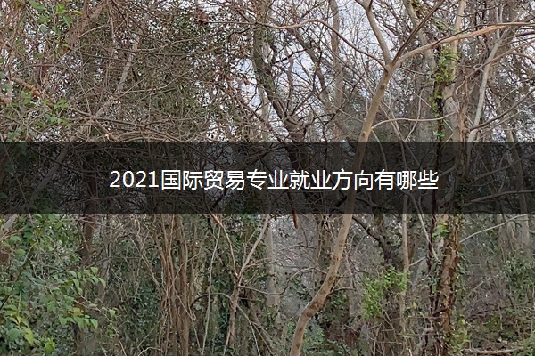 2021国际贸易专业就业方向有哪些