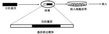 衡水金卷2021年高考模拟押题卷理综试题