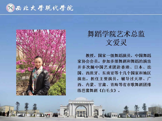 西北大学现代学院