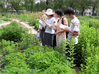 黑龙江中医药大学